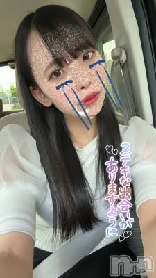 ȯѥ˥󥯥ֿ㥳ѥ˥ -϶15ǯοȼ-(˥ѥ˥󥹥) ʡ쥫(24)516̥֥֥ޥ֡