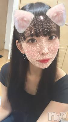 ȯѥ˥󥯥ֿ㥳ѥ˥ -϶15ǯοȼ-(˥ѥ˥󥹥) ʡ쥫(24)104̥֥֤ȤäƤ⤪ʢƤޤ