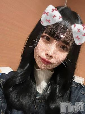 ʡ쥫(24) Ĺ159cmȯѥ˥󥯥 㥳ѥ˥ -϶15ǯοȼ-(˥ѥ˥󥹥)ҡ
