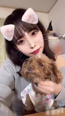 🐶