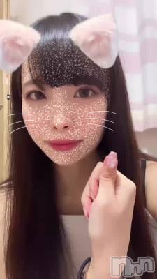 Ѥ🐱