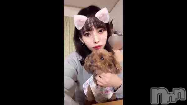 ֥&#x1F436;