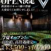V-niigata- 㸩Υоʳ