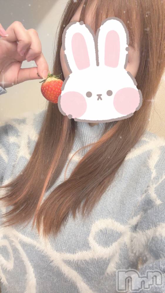 Ĺ襳ѥ˥󥯥Ĺѥ˥󥯥 UP -å-(ʥѥ˥󥯥֥å) ưʪϤ131ֺ̥֥ǯ顪2/1()ж🍻
