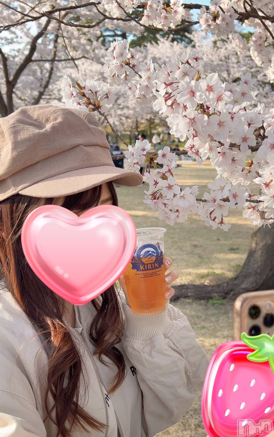 Ĺ�����������襳��ѥ˥��󥯥��Ĺ������ѥ˥��󥯥�� UP -���å�-(�ʥ���������ѥ˥��󥯥�֥��å�) ��2024ǯ4��12���̥�֥����ֽ��ޤ���🐈🤍��