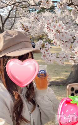 Ĺ襳ѥ˥󥯥Ĺѥ˥󥯥 UP -å-(ʥѥ˥󥯥֥å) ưʪ(24)412ֽ̥֥ޤ🐈🤍
