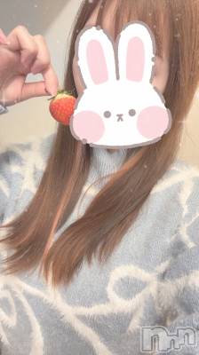 Ĺ襳ѥ˥󥯥Ĺѥ˥󥯥 UP -å-(ʥѥ˥󥯥֥å) ưʪ(24)131ֺ̥֥ǯ顪2/1()ж🍻