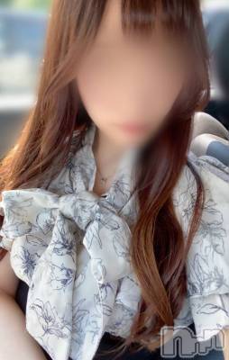 ưʪ(24) Ĺ150cmĹ襳ѥ˥󥯥 Ĺѥ˥󥯥 UP -å-(ʥѥ˥󥯥֥å)ҡ