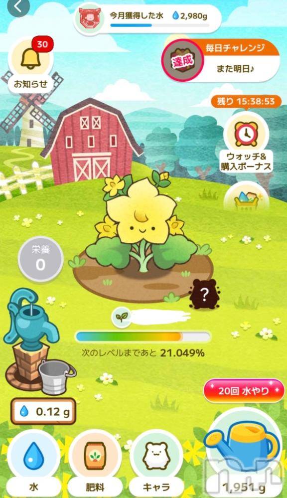 新潟デリヘル奥様特急 新潟店(オクサマトッキュウニイガタテン) るなん(32)の11月16日写メブログ「今やってる…」