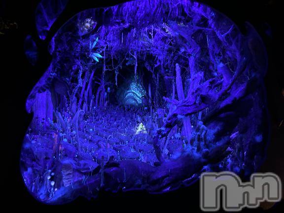 新潟デリヘル奥様特急 新潟店(オクサマトッキュウニイガタテン) るなん(32)の11月17日写メブログ「休みに…」