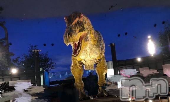 新潟デリヘル奥様特急 新潟店(オクサマトッキュウニイガタテン)るなん(32)の2025年9月12日写メブログ「もう一回行きたい！」