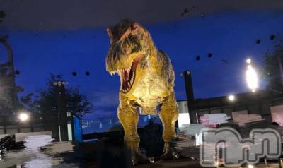 新潟デリヘル 奥様特急 新潟店(オクサマトッキュウニイガタテン) るなん(32)の9月12日写メブログ「もう一回行きたい！」