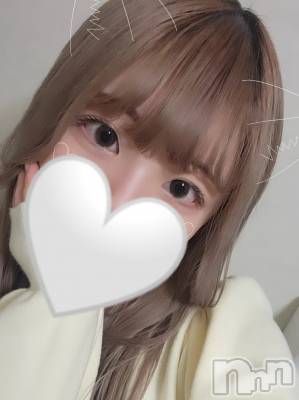 ʤ ǯ23 / Ĺ144cm