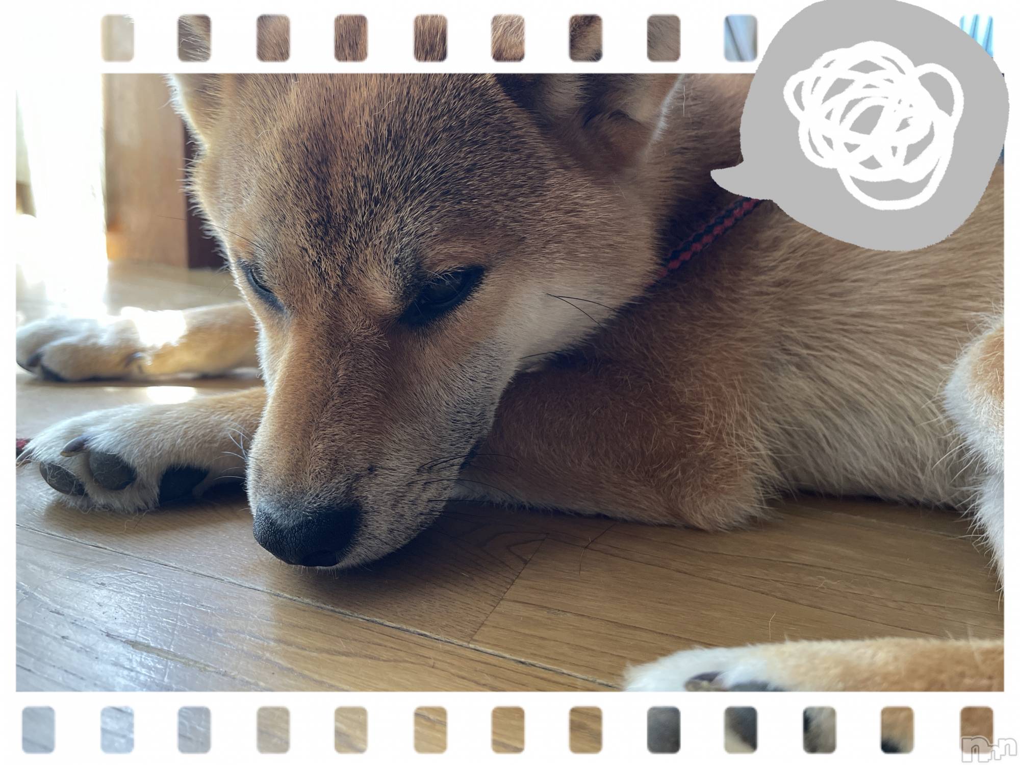 上越人妻デリヘル上越最安値！奥様Deli急便(ジョウエツサイヤスネ！オクサマデリキュウビン)新人　ひなた(38)の2025年4月29日写メブログ「すみません🙇‍♀️」