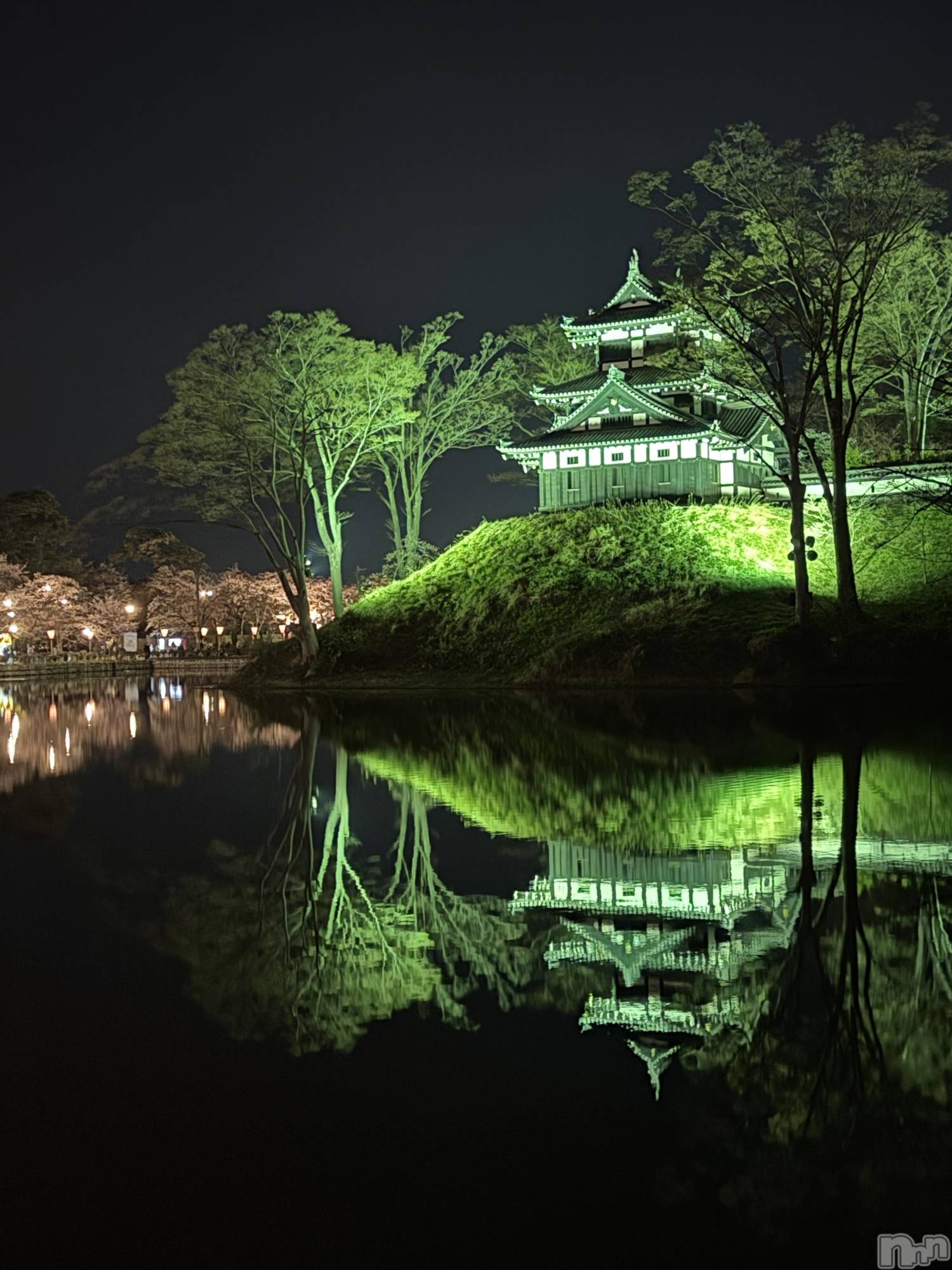 上越デリヘル上越最安値！奥様Deli急便(ジョウエツサイヤスネ！オクサマデリキュウビン)新人　ひなた(38)の2026年4月14日写メブログ「ひさしぶり_〆┤'-'*├」