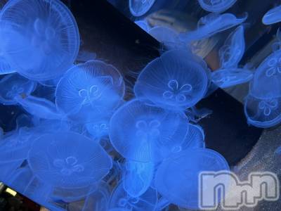 上越デリヘル 上越最安値！奥様Deli急便(ジョウエツサイヤスネ！オクサマデリキュウビン) 新人　ひなた(38)の6月27日写メブログ「この間」