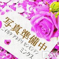真結【新人】