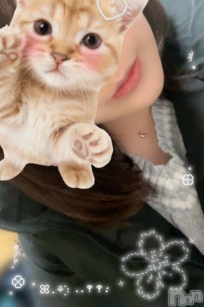 三条デリヘル新潟三条燕ちゃんこ(ニイガタサンジョウツバメチャンコ) まゆみ★プレミア(31)の2月21日写メブログ「あたたかく🌸」