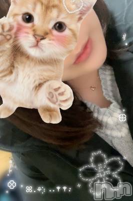 三条デリヘル 新潟三条燕ちゃんこ(ニイガタサンジョウツバメチャンコ) まゆみ★プレミア(31)の2月21日写メブログ「あたたかく🌸」