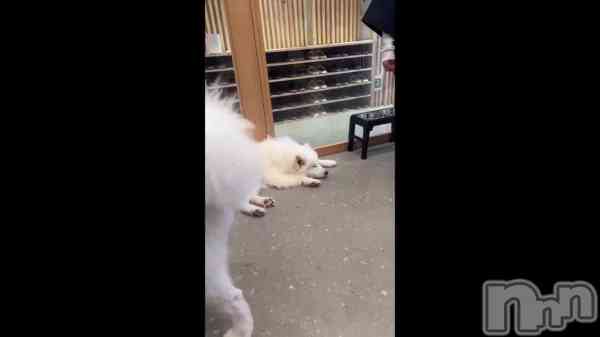 &#x1F415;