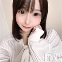 天和ひまわり