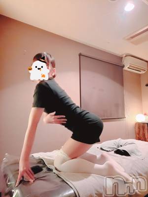 㡦ȯĥꥢ󥺥Levre(졼֥)  ꤫1022̥֥🩷🐶🪄︎︎פƤ🪄︎︎🐱🩵