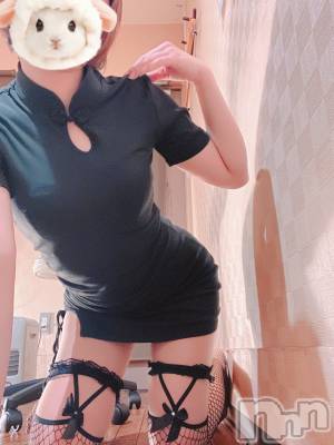 㡦ȯĥꥢ󥺥Levre(졼֥)  ꤫318̥֥֤ơ🎀🪽