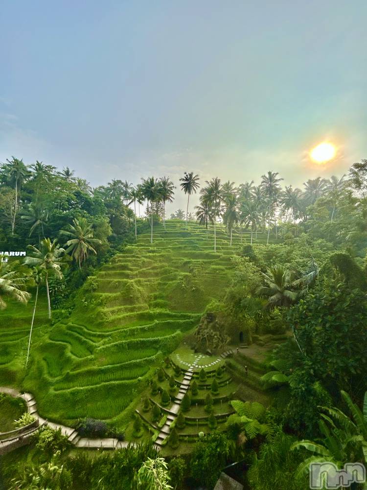 Ʋʥå륺СLOUNGE ICHI (饦󥸥) ƻ329̥֥🌳