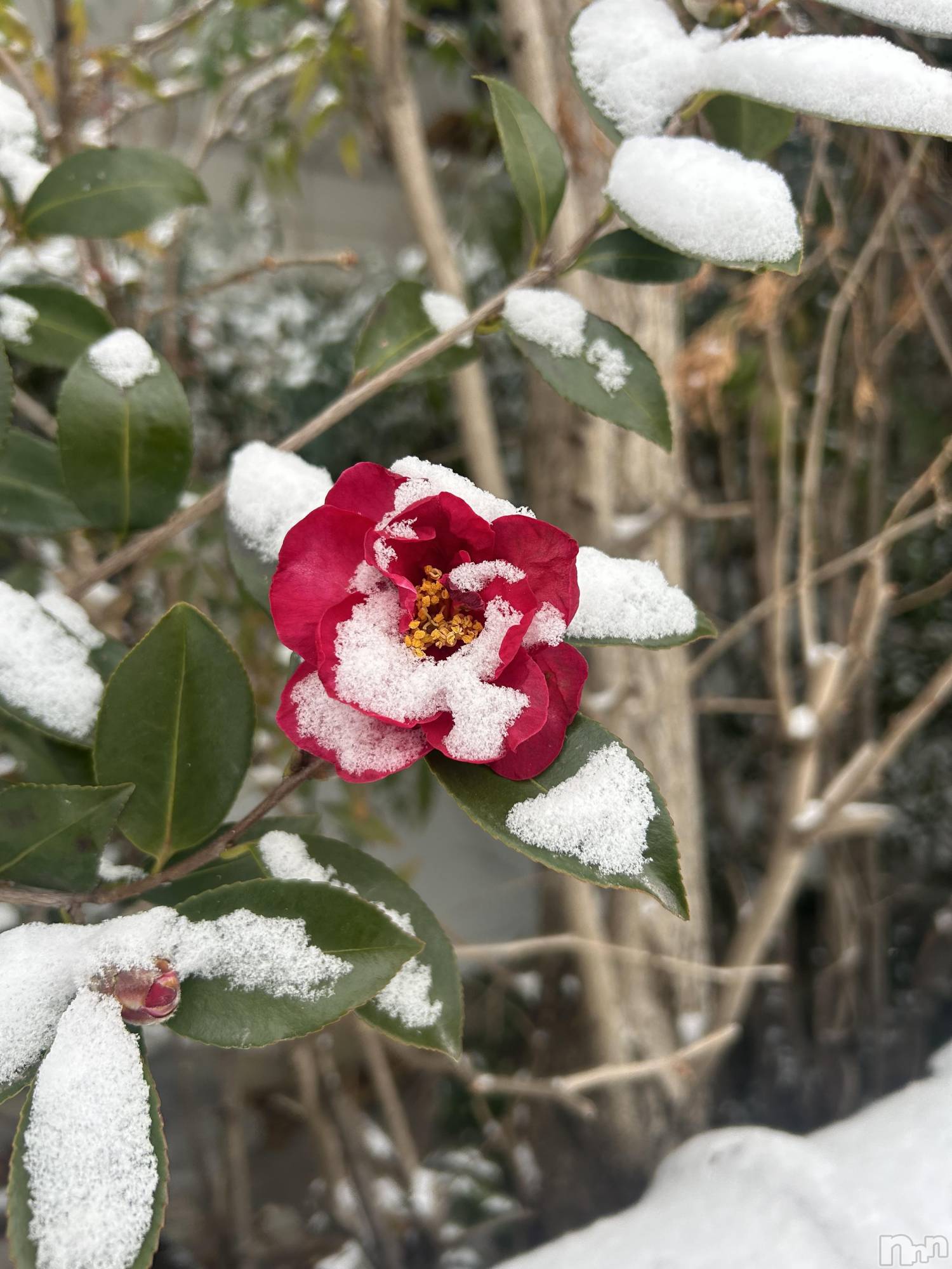 ��Ʋ���ʥå��������륺�С�LOUNGE ICHI ������(�饦�󥸥���) ��2026ǯ1��27���̥�֥����ּ��