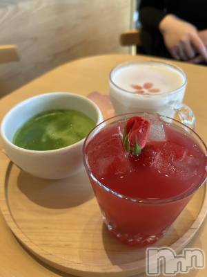 Ʋʥå륺СLOUNGE ICHI (饦󥸥) ƻ64̥֥֥ե🌿