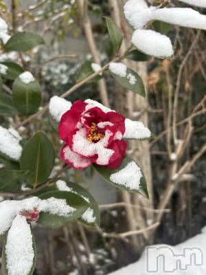 ��Ʋ���ʥå��������륺�С�LOUNGE ICHI ������(�饦�󥸥���) ��ƻ���������1��27���̥�֥����ּ��