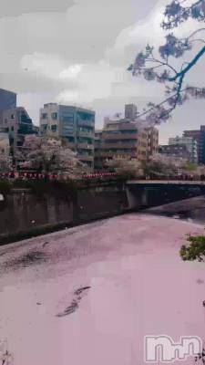 �Ϥ�ꡢ�Ϥ��