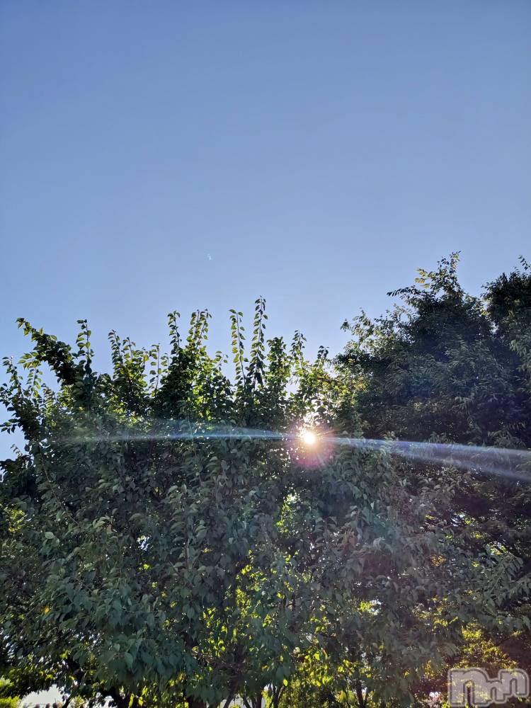 長岡デリヘル長岡人妻市(ナガオカヒトヅマイチ) ちづる★くそエッロい身体の人妻(39)の10月9日写メブログ「雨☔か…」