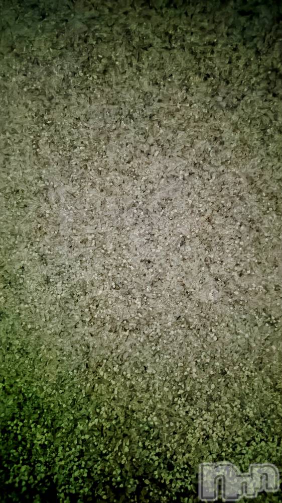 長岡デリヘル長岡人妻市(ナガオカヒトヅマイチ) ちづる★くそエッロい身体の人妻(39)の12月12日写メブログ「☺️」