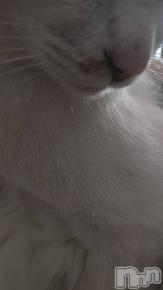 長岡デリヘル長岡人妻市(ナガオカヒトヅマイチ) ちづる★色白スレンダー&美巨乳(39)の1月22日写メブログ「お礼ブログ」