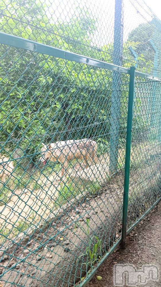 長岡デリヘル長岡人妻市(ナガオカヒトヅマイチ) ちづる★けしからん身体をした人妻(39)の8月9日写メブログ「ココは覚えてる」