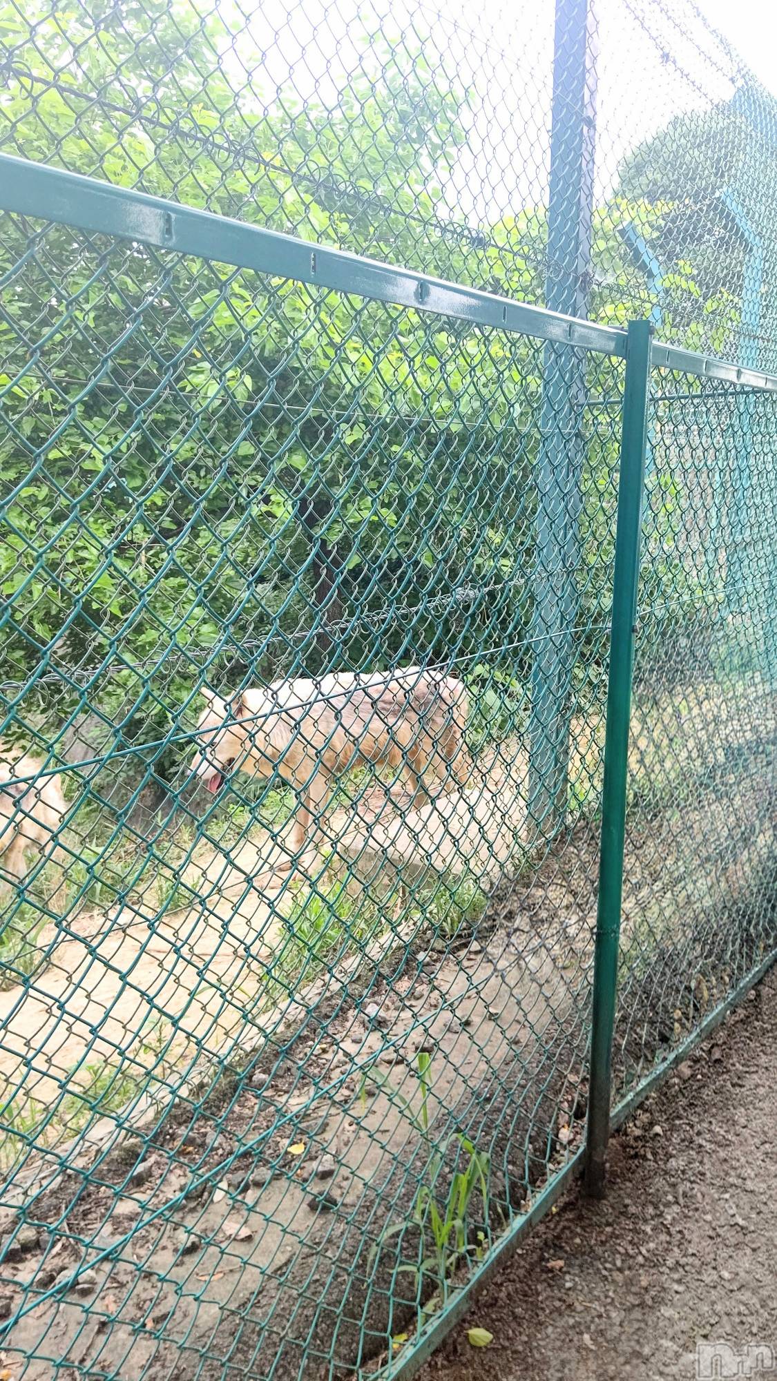 長岡デリヘル長岡人妻市(ナガオカヒトヅマイチ)ちづる★けしからん身体をした人妻(39)の2026年8月9日写メブログ「ココは覚えてる」