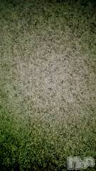 長岡デリヘル長岡人妻市(ナガオカヒトヅマイチ) ちづる★色白スレンダー&美巨乳(39)の12月12日写メブログ「☺️」