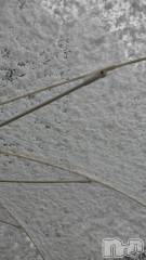 長岡デリヘル長岡人妻市(ナガオカヒトヅマイチ) ちづる★色白スレンダー&美巨乳(39)の2月5日写メブログ「久しぶりに💦」