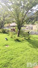 長岡デリヘル長岡人妻市(ナガオカヒトヅマイチ) ちづる★くそエッロい身体の人妻(39)の9月19日写メブログ「手ぶらだよ」