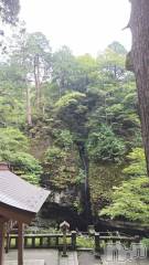 長岡デリヘル長岡人妻市(ナガオカヒトヅマイチ) ちづる★色白スレンダー&美巨乳(39)の11月12日写メブログ「参拝途中…」