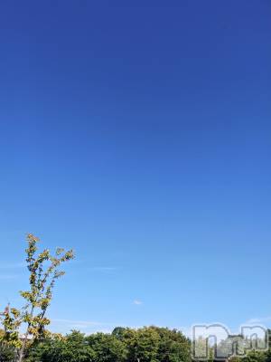 長岡デリヘル 長岡人妻市(ナガオカヒトヅマイチ) ちづる★色白スレンダー&美巨乳(39)の10月7日写メブログ「🌿」