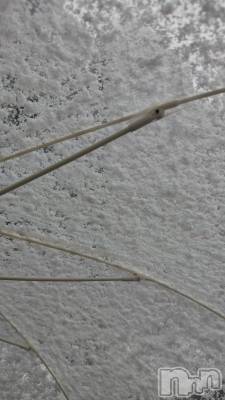 長岡デリヘル 長岡人妻市(ナガオカヒトヅマイチ) ちづる★色白スレンダー&美巨乳(39)の2月5日写メブログ「久しぶりに💦」