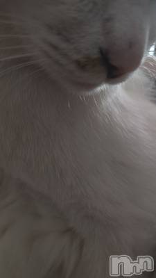 長岡デリヘル 長岡人妻市(ナガオカヒトヅマイチ) ちづる★色白スレンダー&美巨乳(39)の1月22日写メブログ「お礼ブログ」