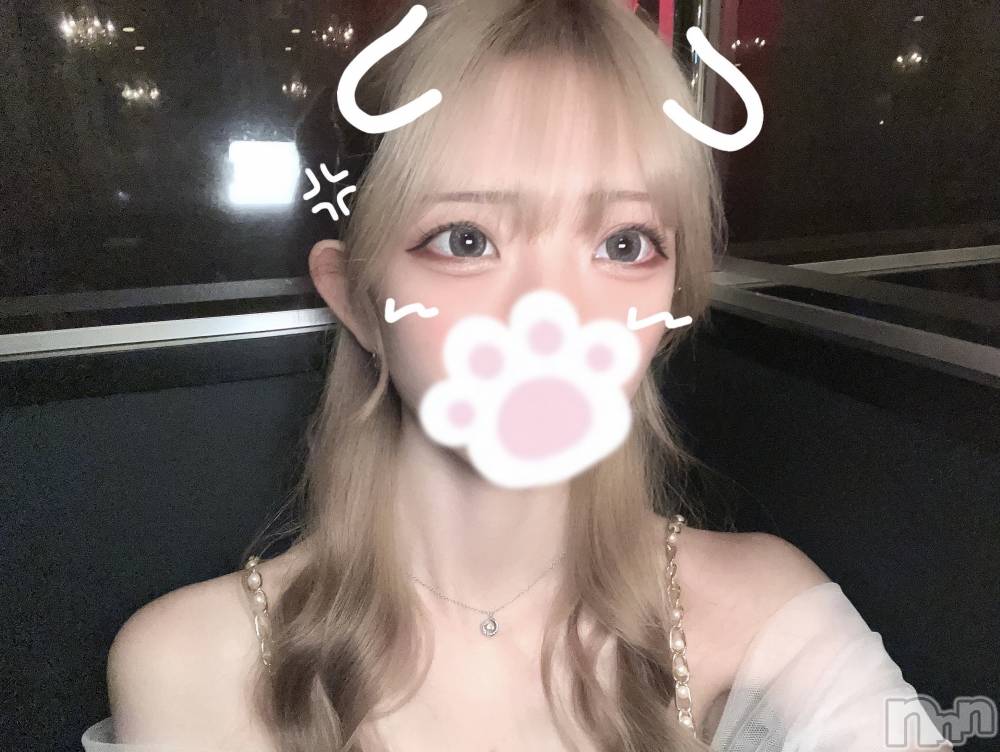 ܱХ顦֥ ץ ( ץ ޥĥ) ߤ줤1023̥֥1023 2037ʬΥ֥