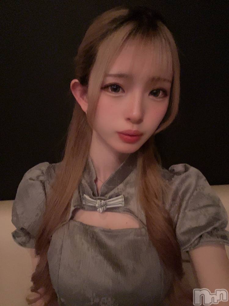ܱХ顦֥ ץ ( ץ ޥĥ) ߤ줤214̥֥214 2231ʬΥ֥