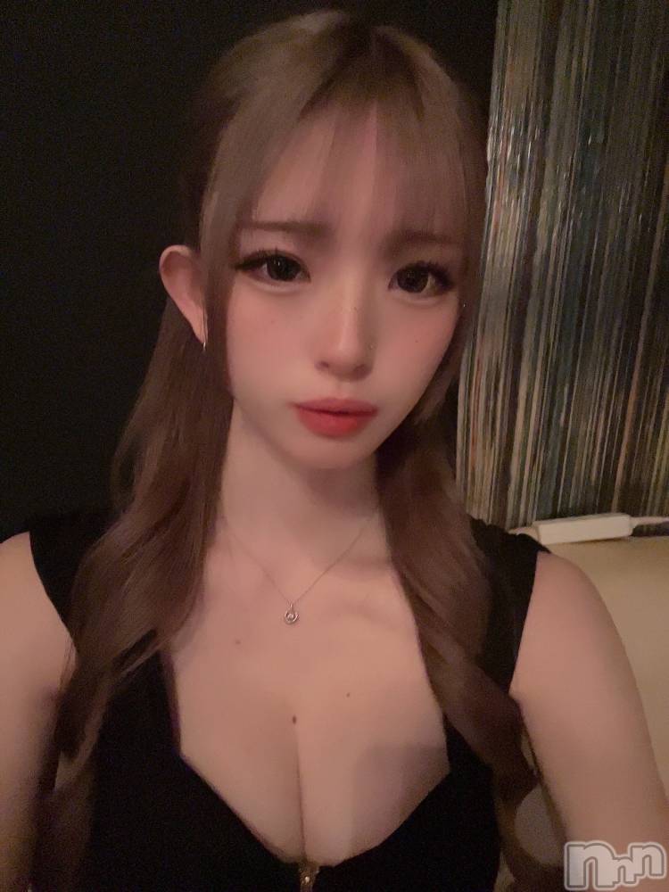 ܱХ顦֥ ץ ( ץ ޥĥ) ߤ줤222̥֥222 2037ʬΥ֥