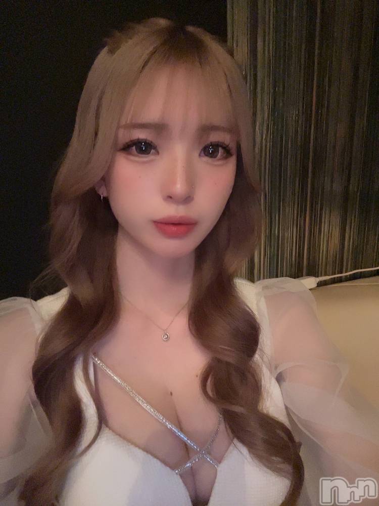 ܱХ顦֥ ץ ( ץ ޥĥ) ߤ줤31̥֥31 2005ʬΥ֥