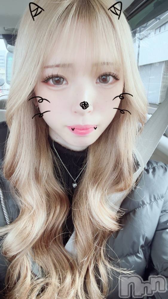 ܱХ顦֥ ץ ( ץ ޥĥ) ߤ줤314̥֥314 2024ʬΥ֥