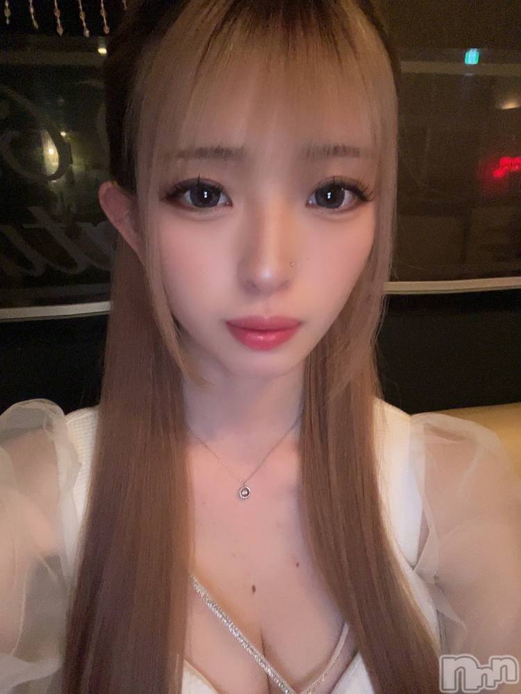 ܱХ顦֥ ץ ( ץ ޥĥ) ߤ줤52̥֥52 2133ʬΥ֥
